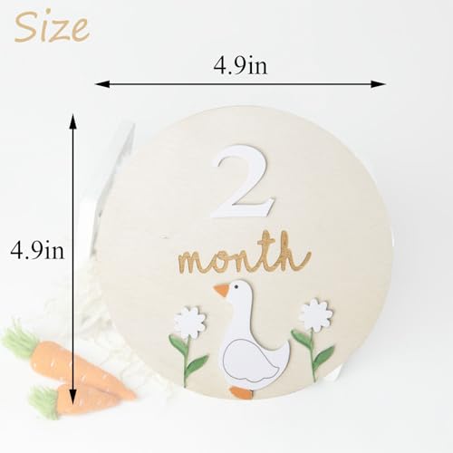 Image of Goose Monthly Milestone Cards - Wooden Discs & 3D Baby Monthly Milestone Signs for Baby Shower & Announcement