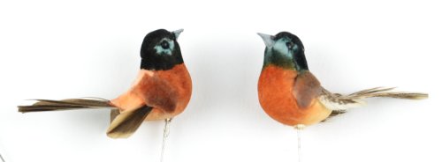 Touch of Nature 20922 Robin, 1-1/4-Inch