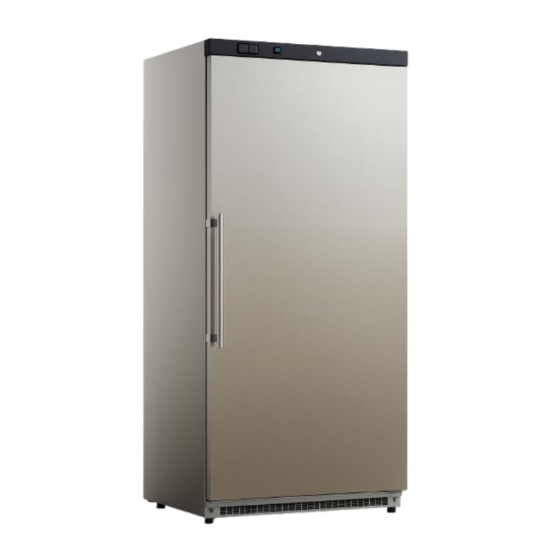 Générique Armoire Réfrigérée Négative Inox 600L - Congélateur -18°C - 1 Porte - Haute Capacité - Professionnelle
