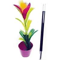 Magiapym Flor de aparición con vídeo explicativo más fácil de