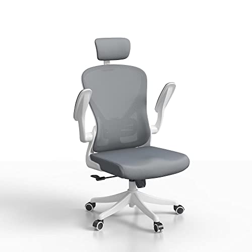 Best Yamasoro Ergonomic Executive Office Chair 2022 Where to Buy