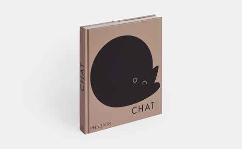 Chat – vue 4