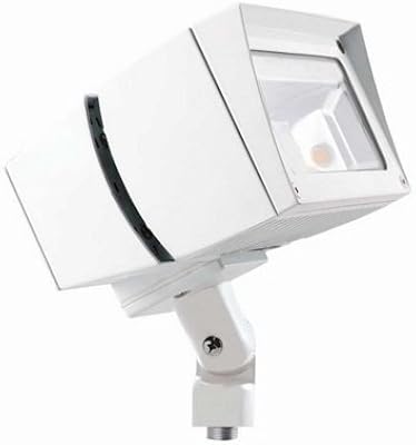 RAB Lighting FFLED39YW Future Flood 39W Warm LED 120V/277V, White