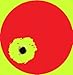 Splatterburst Targets - 10 Pack 1 inch Stick & Splatter Self Adhesive Red Bullseyes - Gun - Rifle - Pistol - Airsoft - BB Gun - Pellet Gun - Air Rifle - Made in USA