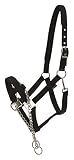 Gr. Vollblut/Haflinger Reitsport Amesbichler Halfter mit Kette schwarz Kontroll-Halfter mit Kette Hengsthalfter, Gr. Vollblut