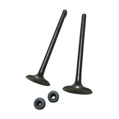 ���i 5mm�G���W���X�e���i�I�C���V�[���t���jAN125 UA125 HS125T 125cc�ɓK�� �����e�i���X