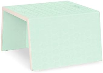 B. Spaces Chair StairTM  3-in-1 Step Stool  Mint