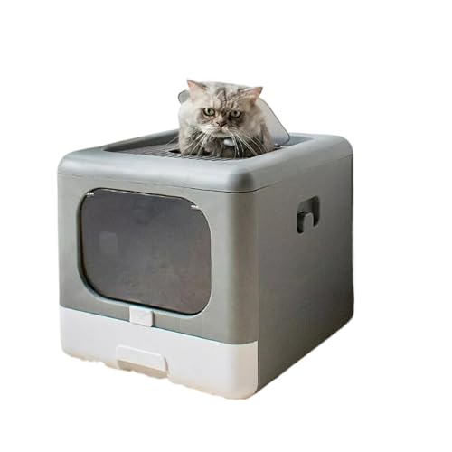 LpgCgC ܂肽ݎ gbvGg[ ^LpgC o^Cv Wt t[ht ybgpqLpgCgC Rh~ XRbvt