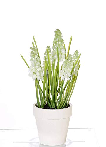 artplants.de Giacinto Artificiale Arabella in Vaso Decorativo, Crema, 25cm, Ø2-3cm - Giacinto Finto - Pianta Finta