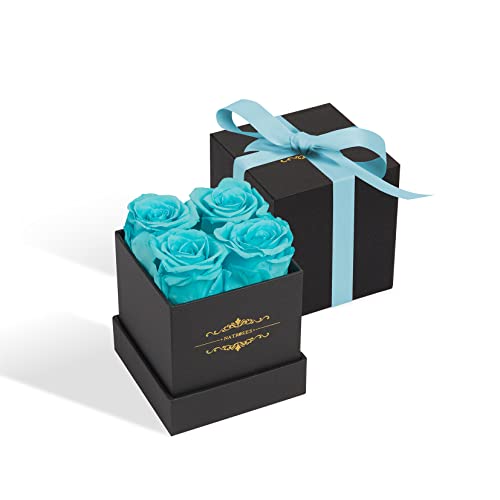 Natroses Preserved Roses In A Box That Last Up To 3 Years, Long Lasting Roses Gifts For Her,Valentines Day Gifts, Blue-2 #TOP2