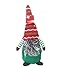 Christmas House Holiday Themed Gnomes, 13.75 in. (Green)