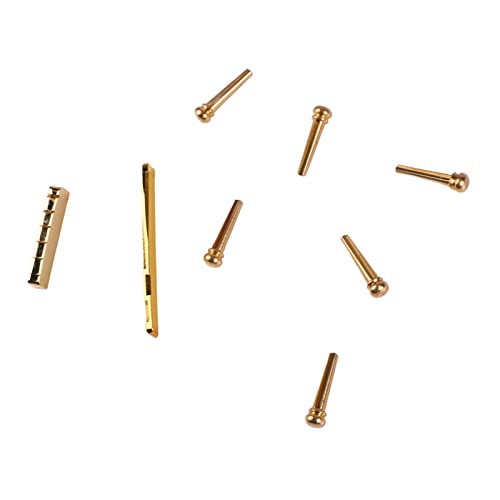 6 PCSM^[ubWsAibgThZbgAAR[XeBbNM^[p̃uXM^[ANZT[LbgAϋvɗDĂ邩킢A̖mȃCgl[V