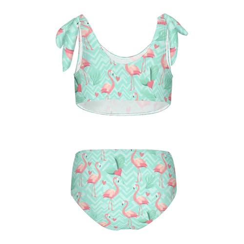 Wusikd Flamingo Hearts Girls Swimsuits Two Piece Swimwear Bikini Set for for Girls Size 3T2