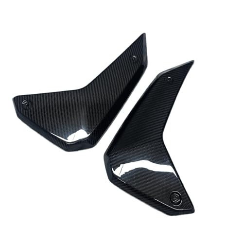 Motorradwasser Retikul Passend für BMW R 1300 GS R1300GS 2023 2024 2025 Volle Real Carbon Fiber Seitenteile Motorradzubehör