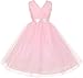 Dreamer P Little Girls Tulle V Neck Rhinestone Brooch Flowers Girls Dresses