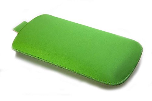 caseroxx Poche pour Samsung Galaxy Young GT-S6310 S6310N, Housse de Protection pour Smartphone (Poche de Coloris Vert)