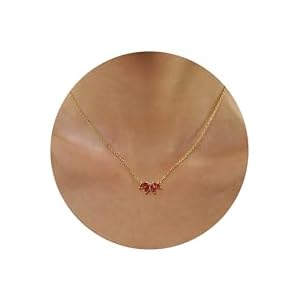 Birthstone Necklace for Women Girls Birthday Gifts 12 Months Diamond Birthstone Necklace Dainty Crystal Gifts for Women Anniversary Necklace Girls Mother Wife Daughter Girlfriend Her 01.Jan.