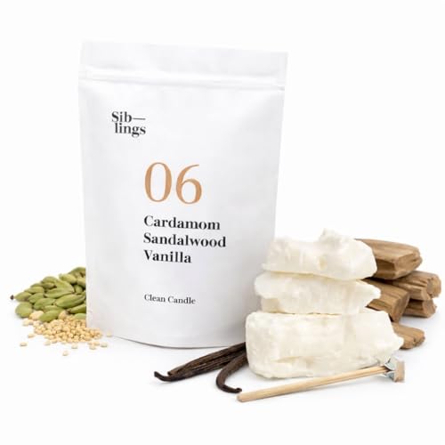 10 Best Refillable Candles That Create a Cozy Atmosphere Anytime 1 Siblings DIY Coconut-Soy Wax Candle Making Kit