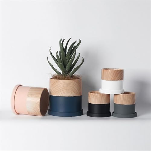 Pots de fleurs contre le manque de verdure au bureau et jardin