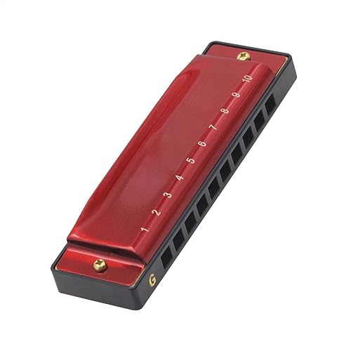 10  20 g[n[jJ_[Nbh G L[n[jJS҂ɍœKyMtg n[jJy