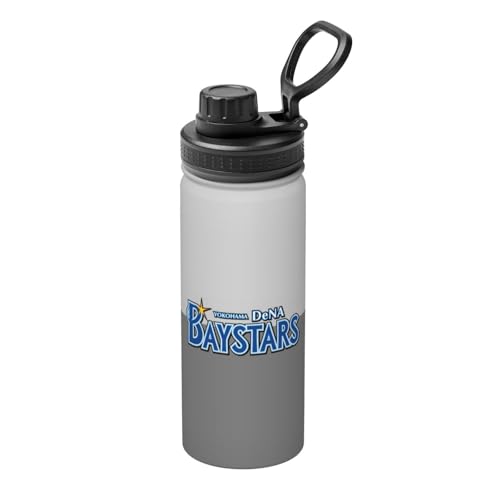 lDeNAxCX^[Y  X|[c{g XeX{g ^fM ۉ ۗ  e y AEghA ʋ ʊw jp 530ml