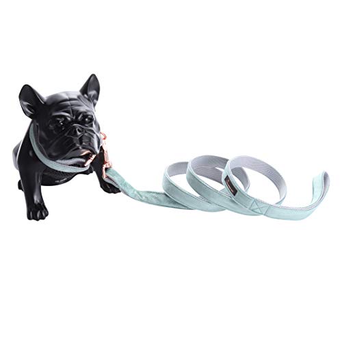 ARING PET Hundehalsband und Leine Set, Samt Hundehalsband und Leine, Verstellbares Halsband für Kleine Hunde Mittlere Hunde Große Hunde