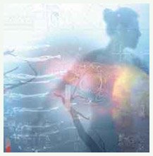 Interior Horizons - 1999 [Audio CD]