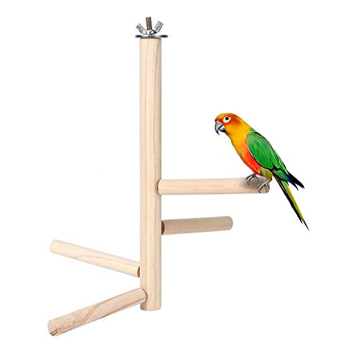 CHENGGONG Soporte para pájaros, Percha para Loros, con Percha de Gancho Soportes de Entrenamiento de Madera Duradera para Loros Cover