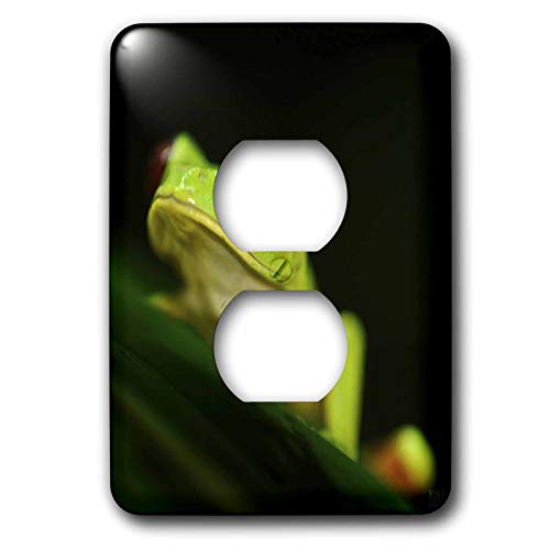 Arbre grenouille sur une feuille 2 prises vert clair décoratif