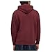 PUMA Men's Graphic Hoodie, Ruby Shimmer Double Up AH25, X-Large