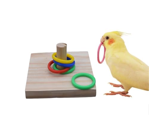 Poonch-Pet-Store-Brain-Stimulating-Ring-Toy-For-Budgies-Cockateil-Lovebird-And-Other-Parrot-Color-Ring-Game