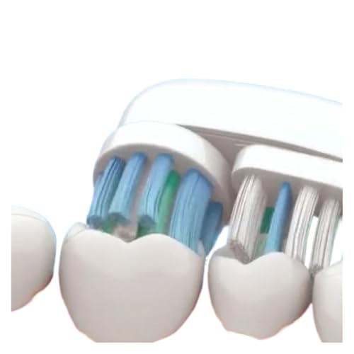 16/20 pièces, compatibles avec les têtes de brosse à dents électrique Oral-B Dual Clean(20PCS)
