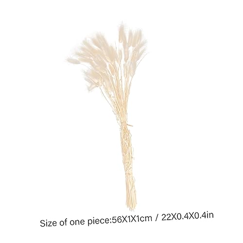 Luxshiny 100 Peças feno de rabo de coelho decoração de casa decoração de prop DIY de grama seca buqu