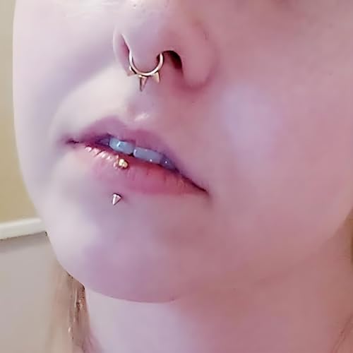 Internal Thread Eyebrow Piercing Jewelry Surgical Steel Curved Barbell Tiny Eyebrow Ring Vertical Labret Lip Jewelry Ear Rook Small Belly Button Ring for Women Men 16g 6mm/8mm/10mm/12mm3