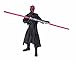 Produktbild Darth Maul Theed Hangar Duel Hall of Fame Figur Star Wars Saga Collection 2002-2004 Hasbro