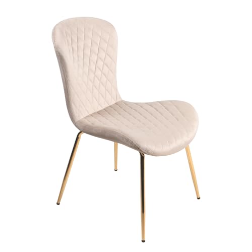 Mirai-Show _CjO`FA  k rO`FA JtF`FA ItBX`FA fXN`FA Ȃ H֎q l 킢 (AC{[ 1r xA)