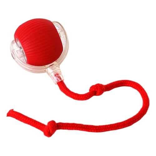 AbvO[h ̂肪C^NeBuLp - [VZT[t]{[A360°]d{[A[d{[ | LEqLpދ̂^ߋApeB[U[pY