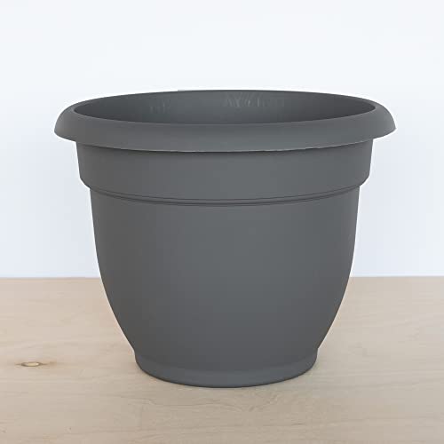 Bloem Ap12908 Ariana Self Watering Planter 12", Charcoal Gray #TOP3