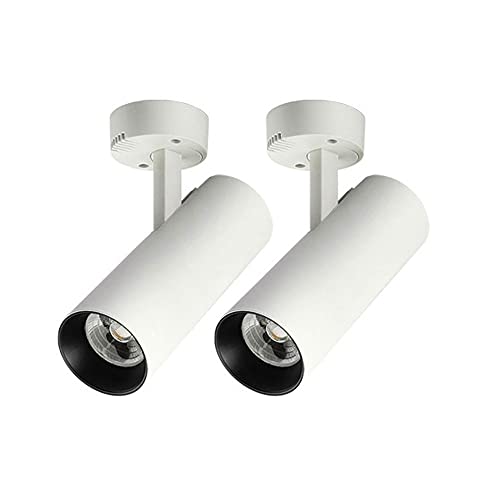 Foco de Techo LED de 2 Piezas, aesorio de iluminación de Acento de Montaje ficial, lámpara de Techo de Metal con luz descendente Ajustable, focos direionales Modernos para galerías y Pasillo