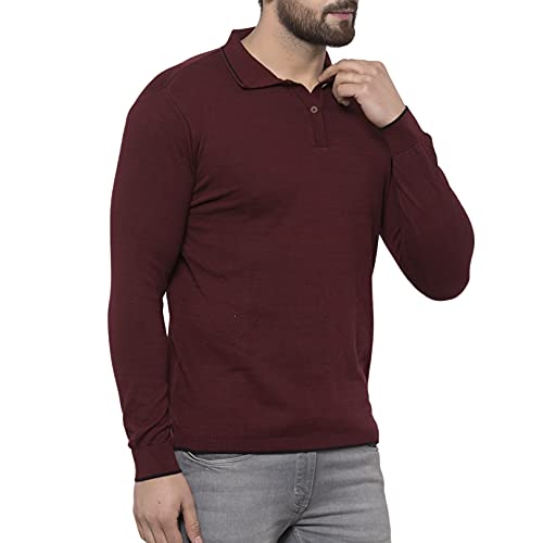 Image of Kalt Mens Basic Solid Full Sleeves Polo Cotton Blend Knitted Regular Fit Polo-Neck T-Shirts with Collar Stylish