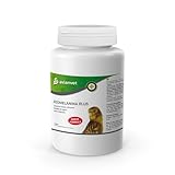 AVIANVET