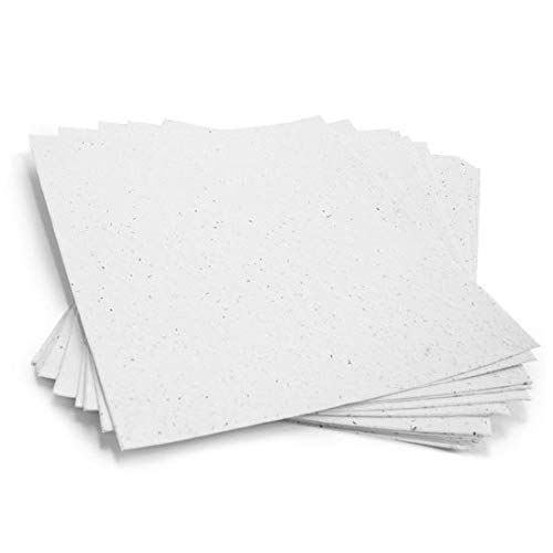Buy Basil Seed Paper, Seed Paper, Seed Embedded Paper, able Paper