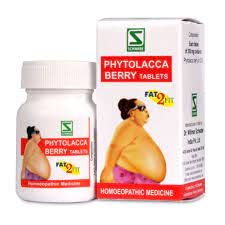 Willmar Schwabe India Phytolacca Berry Tablets (20g) (B0CDKT3G7G) Amazon Price History, Amazon Price Tracker