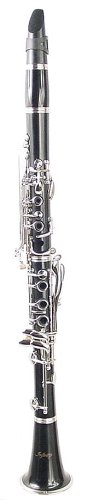 Hisonic Signature Series 2610 Bb Orchestra Clarinet With Case #TOP1