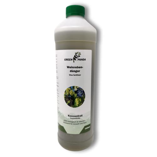 the saem jeju fresh aloe soothing gel The SAEM Jeju Fresh Soothing Aloe Gel 99%