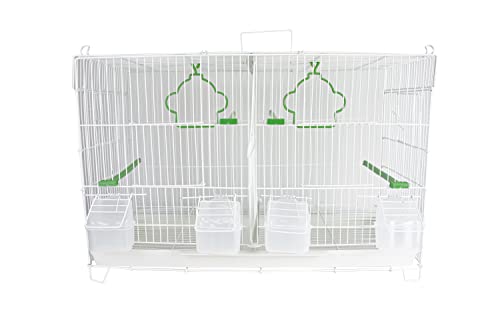 Gabbia Per Uccelli Pet’s Solution Con Giochi, Altalena E Scaletta — 4 Mangiatoie, 3 Posatoi, Vassoio Estraibile, Colore Bianco E Verde