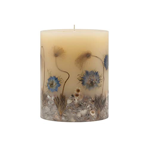 Rosy Rings Beach Daisy Medium 6.5 Inch 200 Hour Pillar Botanical Scented Candle