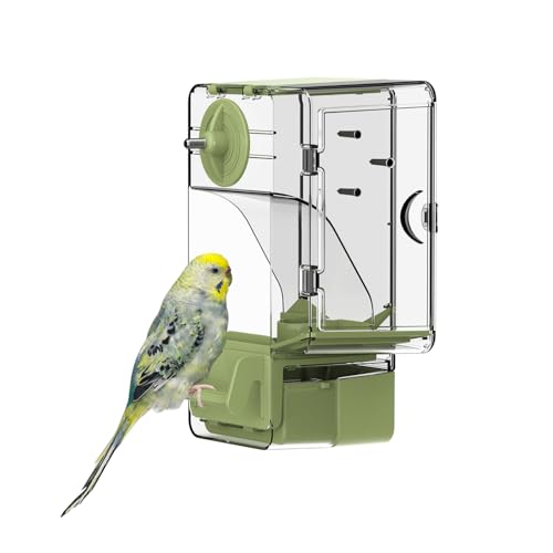 Automatischer Vogelfutterspender, Vogelkäfig-Futterspender mit Sitzstange Multifunktionaler Halter für Obst und Gemüse für Wellensittiche, Sittiche, Kanarienvögel, Nymphensittiche, Finken (Grün)