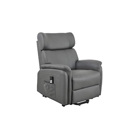 Angel Mobility Winged Electric Power Riser and Recliner Bonded Leather Armchair Lift Mobility Chair Twin Dual Motor Cover