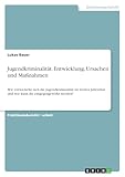 Jugendkriminalität. Entwicklung, Ursachen und Maßnahmen: Wie entwickelte sich die Jugendkriminalität im letzten Jahrzehnt und wie kann ihr entgegengewirkt werden?